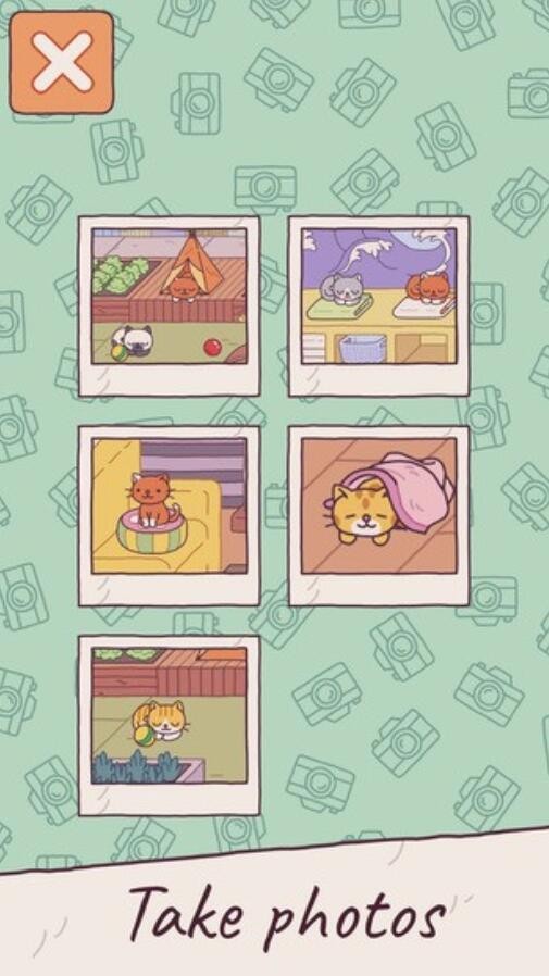 猫之家破解版下载