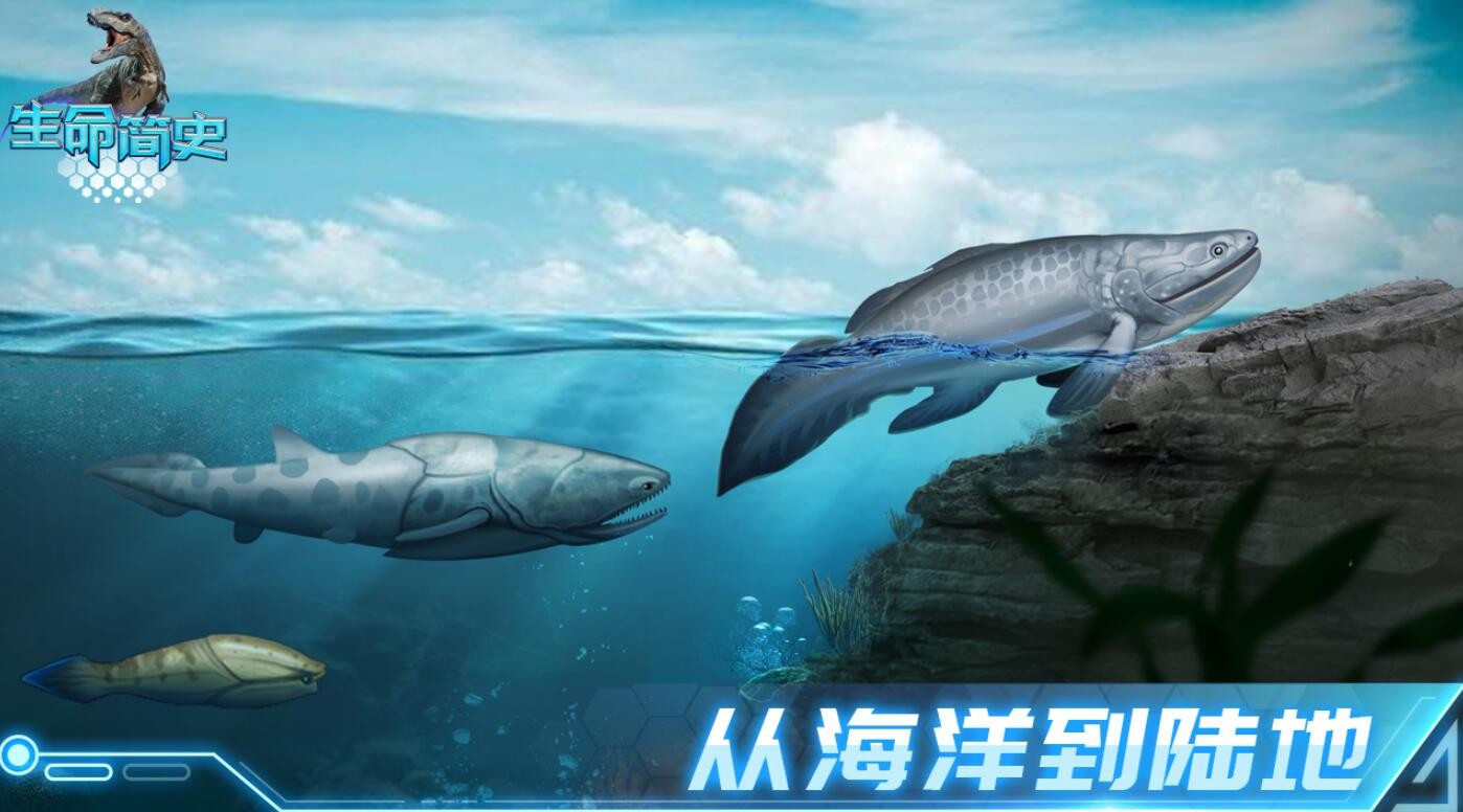 生命简史游戏下载