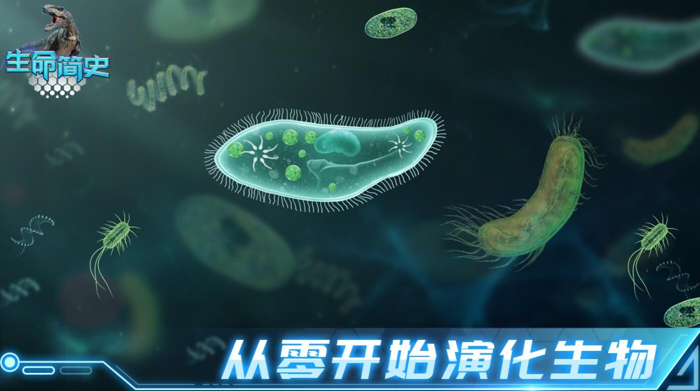 生命简史游戏下载