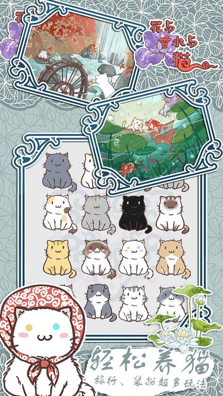 花与香水与猫下载