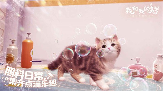 我和我的猫无限金币下载