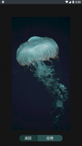 嗨炫壁纸免费版下载