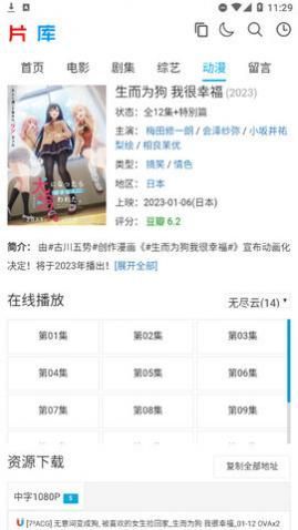 片库极速影院最新版下载