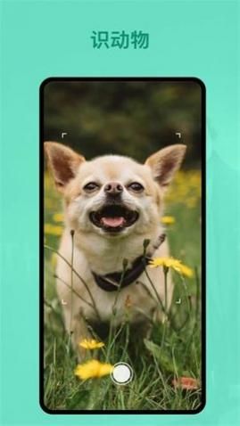 识植物app安卓版