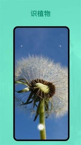 识植物app安卓版