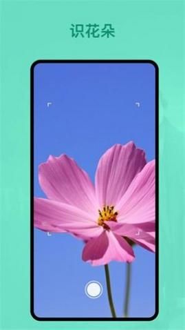 识植物app安卓版