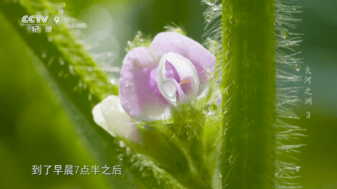 天天TV去广告纯净版