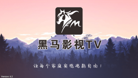 黑马影视TV