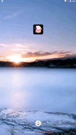 拍拍语聊手机版下载-拍拍语聊2024最新版