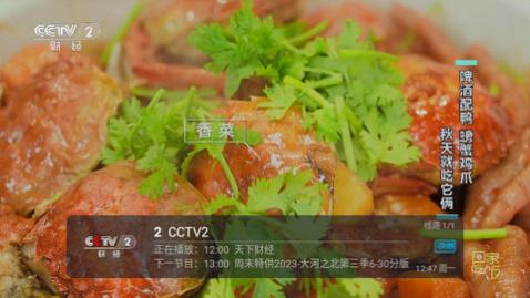 西夏直播高清免费版,西夏直播TV盒子版