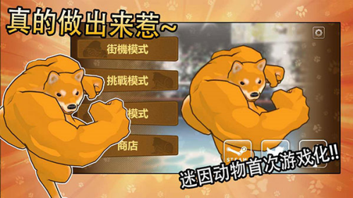 动物之斗手机版安卓下载v1.0.11