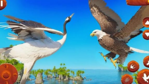 野生鸟类生活模拟器破解版中文v1.22