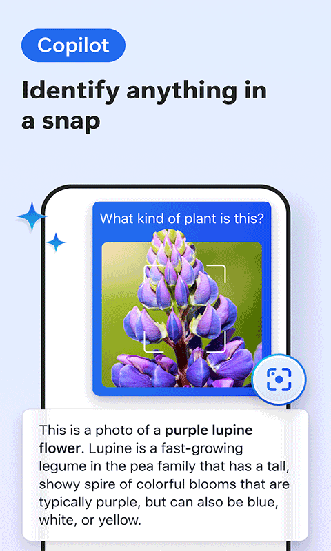 Edge Canary软件下载安装