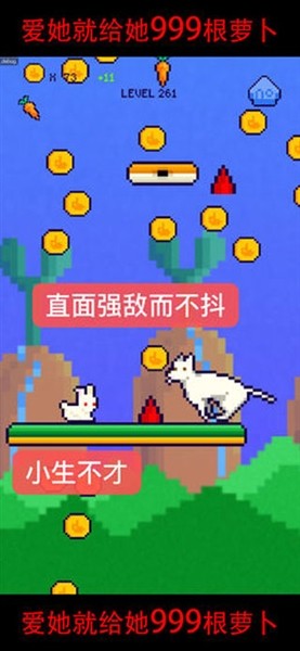 恩爱兔安卓版下载安装