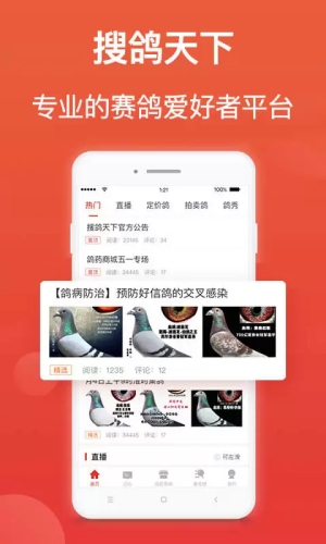 搜鸽天下下载安装