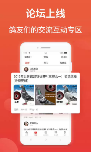 搜鸽天下最新版下载