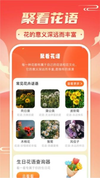 暖阳刷刷app最新版下载