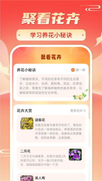 暖阳刷刷