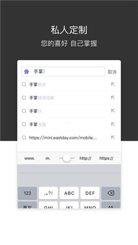绿叶浏览器免费下载