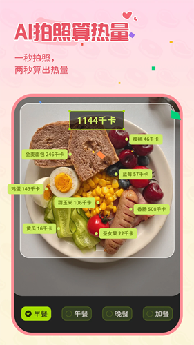 Bodii下载安装