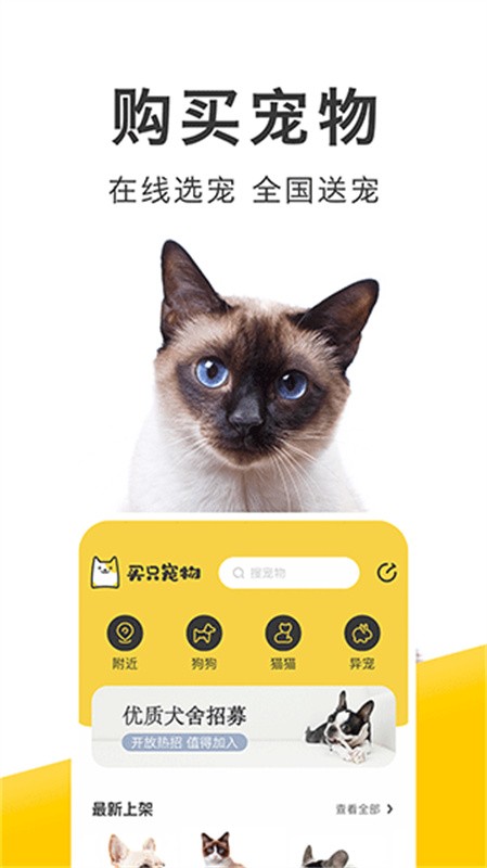买只宠物安卓版下载