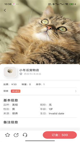 萌宠行星安卓版下载