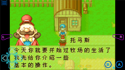 牧场物语矿石镇的伙伴们最新版下载