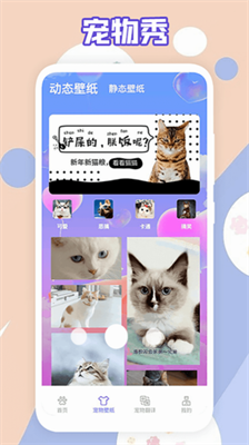 简喵最新版下载安装