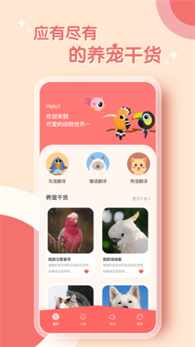 鹦鹉翻译器app下载安装