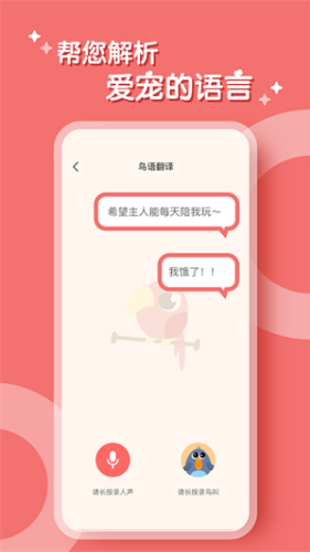 鹦鹉翻译器app下载安装