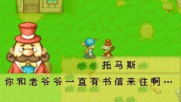 牧场物语矿石镇的伙伴们下载