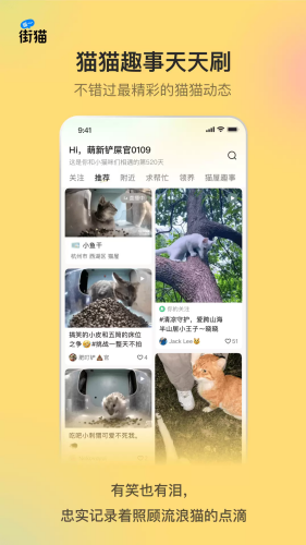 哈啰街猫安卓版下载