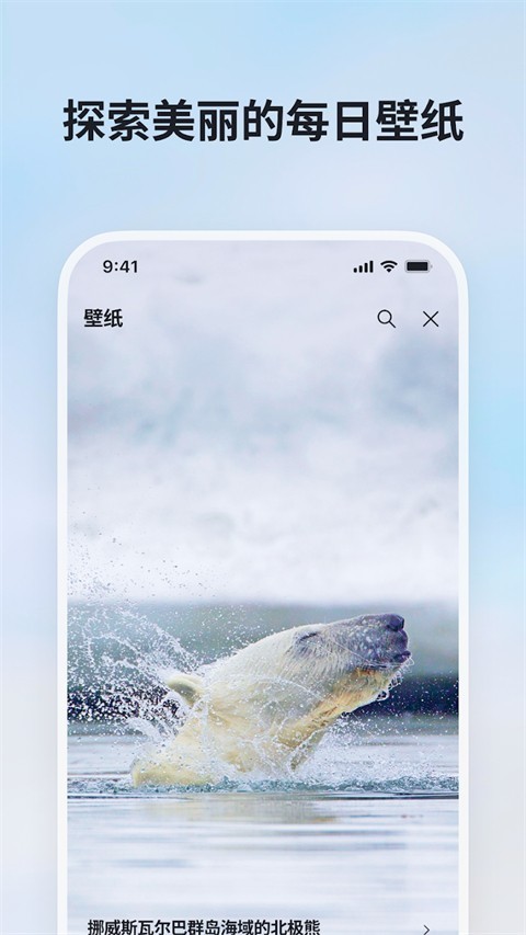 必应手机版
