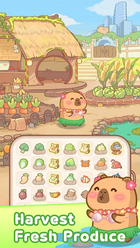 慢豚豚的生活最新版