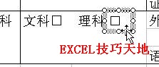 如何在Excel中制作打钩的方框 图解详细教程4