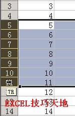 在Excel中快速插入多行和多列1