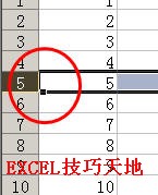 在Excel中快速插入多行和多列2