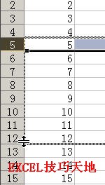 在Excel中快速插入多行和多列3