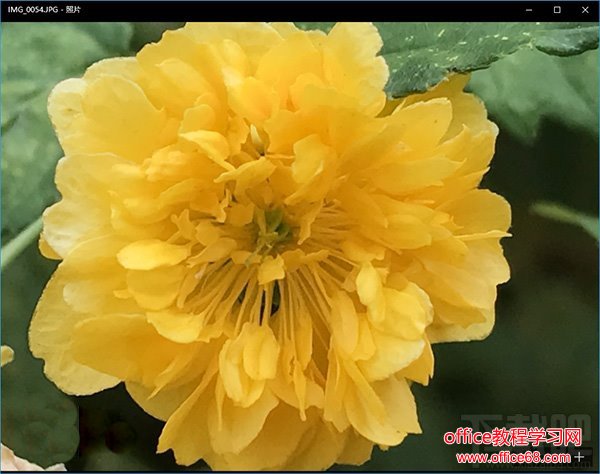 如何让电脑正确显示苹果iPhone7拍摄的照片?