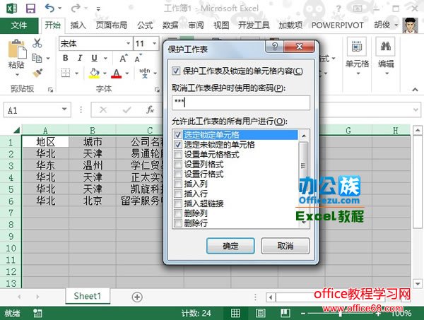 Excel2013中如何保护工作表全攻略2