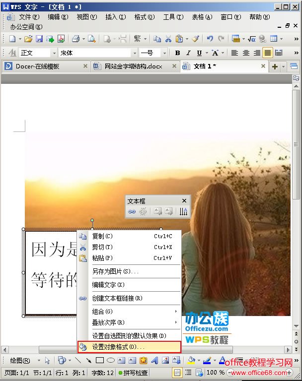 选中设置对象格式