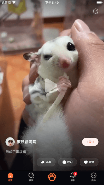 �Ҹ�����app����