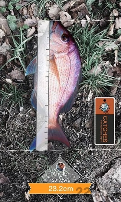 ���app����