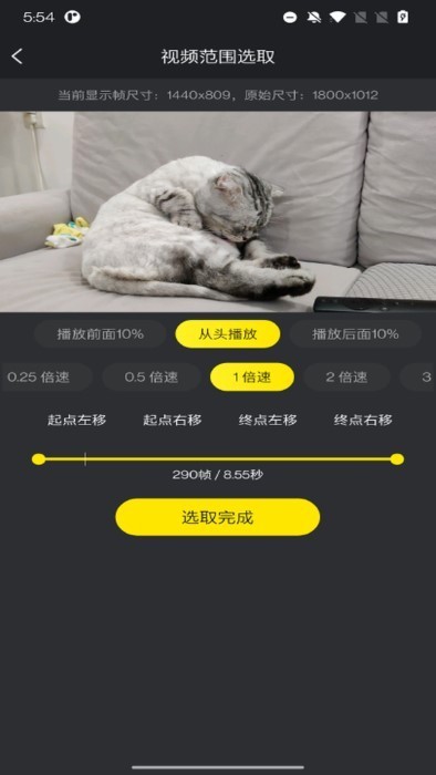 gif��ʦapp����