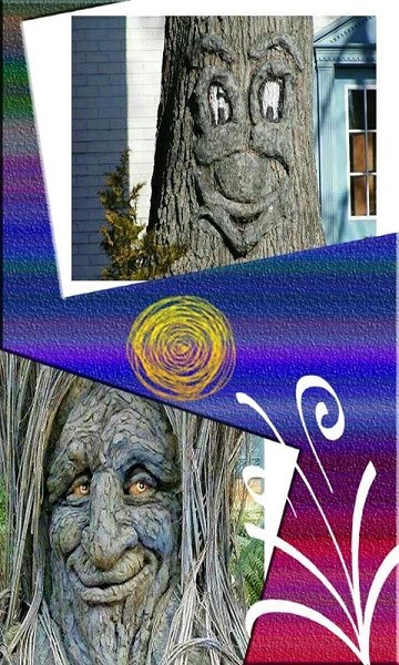 ������������app����