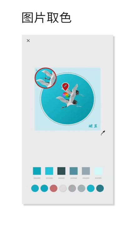 ��ɫ��ɫapp����