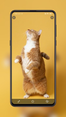 ֽ����ֽ�ٷ�������