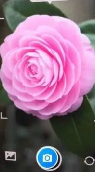 �ǻ��������ֻ�������