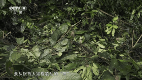 ��ʹӰ��TV���Ӻ���app����