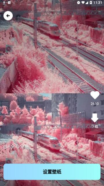 ���Ǳ�ֽ����������